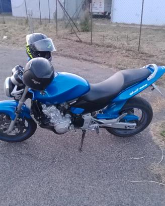 Honda hornet 600