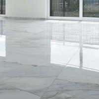 Lucidatura pavimenti marmo,graniglia,legno,genova