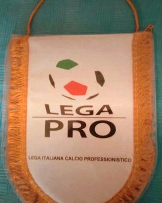 Gagliardetto Lega Pro Calcio serie c