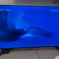 Hisense 55 pollici
