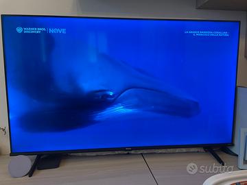 Hisense 55 pollici
