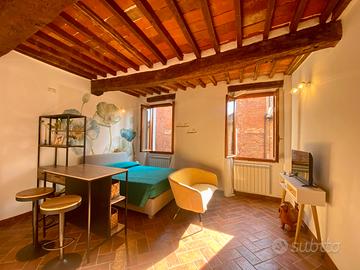 Monolocale Open-Space appena ristrutturato