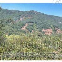 Terreno Agricolo Aglientu [A4325589]