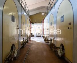 Azienda Agricola - Ormelle