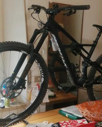 Bicicletta enduro specialized 29