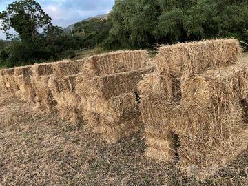 fieno prato stabile ballette rettangolari