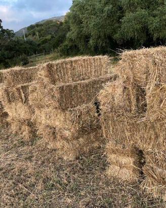 fieno prato stabile ballette rettangolari