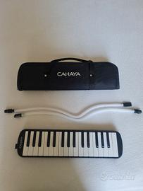 Melodica usata Cahaya
