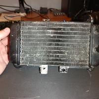 radiatore gilera runner 50