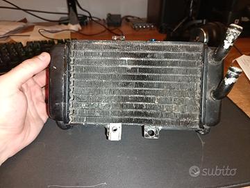 radiatore gilera runner 50