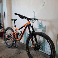Giant reign