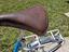 Immagine 4