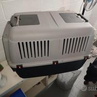 Trasportino cani gradi