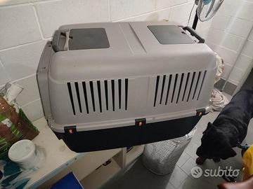 Trasportino cani gradi