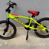Bmx aurelia