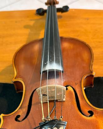 Violino