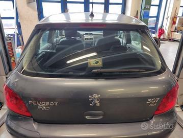 Portellone nudo PEUGEOT 307 del 2006
