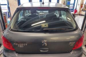 Portellone nudo PEUGEOT 307 del 2006