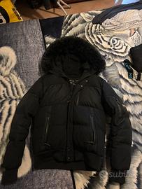 Giacca kings will dream