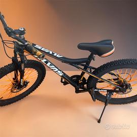 mountain bike