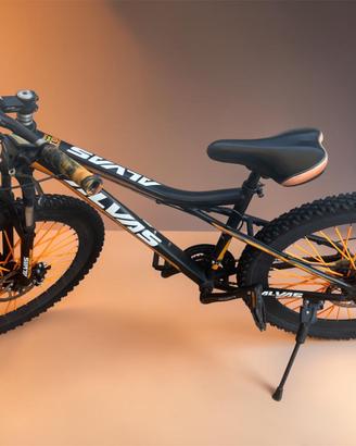 mountain bike