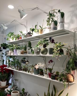 Scaffalatura Ikea