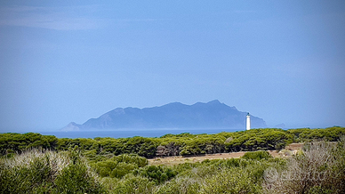 Terreno a Favignana (zona Bosco)