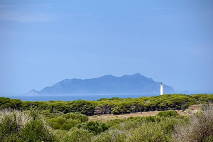 Terreno a Favignana (zona Bosco)