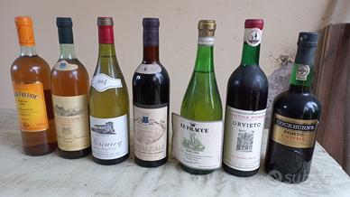 Vini di cantina
