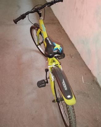 Bicicletta bimbo