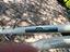 Immagine 6