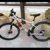 mountain bike