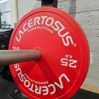 Dischi 25kg Lacertosus 