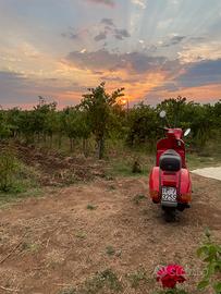 Piaggio Vespa 125 PX - 1983