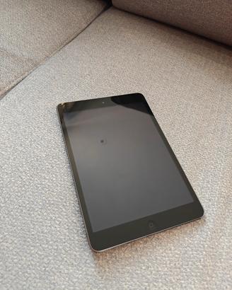 iPad mini 2
