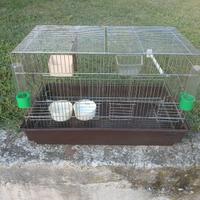 Gabbia per uccellini