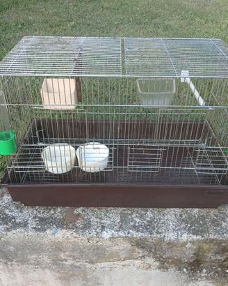 Gabbia per uccellini