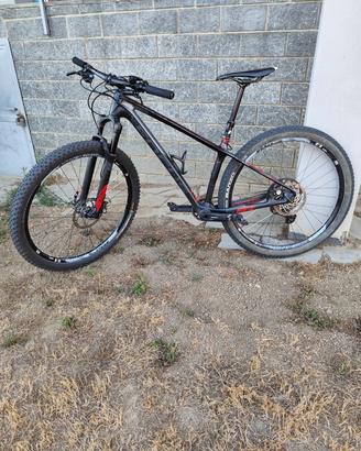 Focus raven 29 taglia M