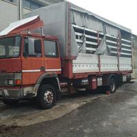 IVECO Fiat 115