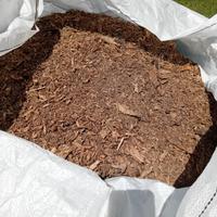 pacciamatura di cedro del Libano