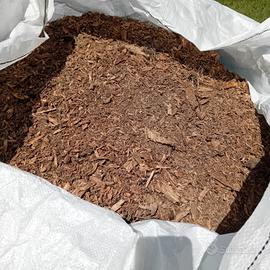 pacciamatura di cedro del Libano