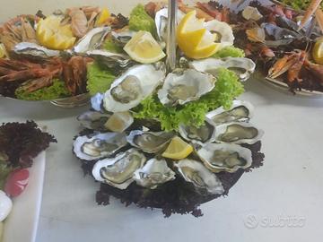 CHEF RESPONSABILE 62 anni CON AIUTANTE 19 anni