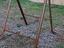 Immagine 2