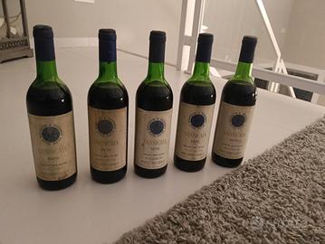 sassicaia 1970 