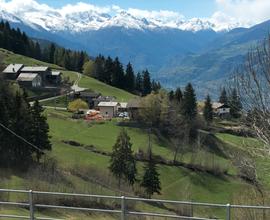 Baita tutta pietra e legno alle pendici di un bosc