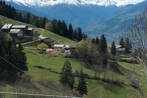 Baita tutta pietra e legno alle pendici di un bosc