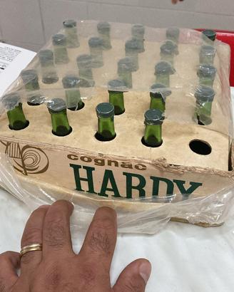 mignon Hardy champagne 