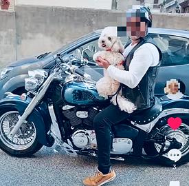 Suzuki 800 moto tenuta bene