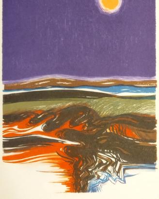 litografie artistiche