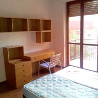 Camera singola zona ospedale veterinaria